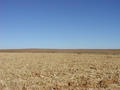 #3: Looking north.