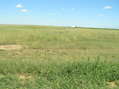 #3: View to the north from the confluence point.