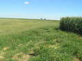 #4: View to the east from the confluence point.