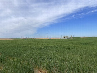 #10: Looking southwest at Walter's truck on our walk back