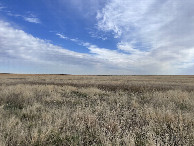 #4: View to the north from the confluence