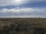 #5: View to the east from the confluence