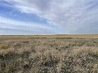 #6: View to the south from the confluence