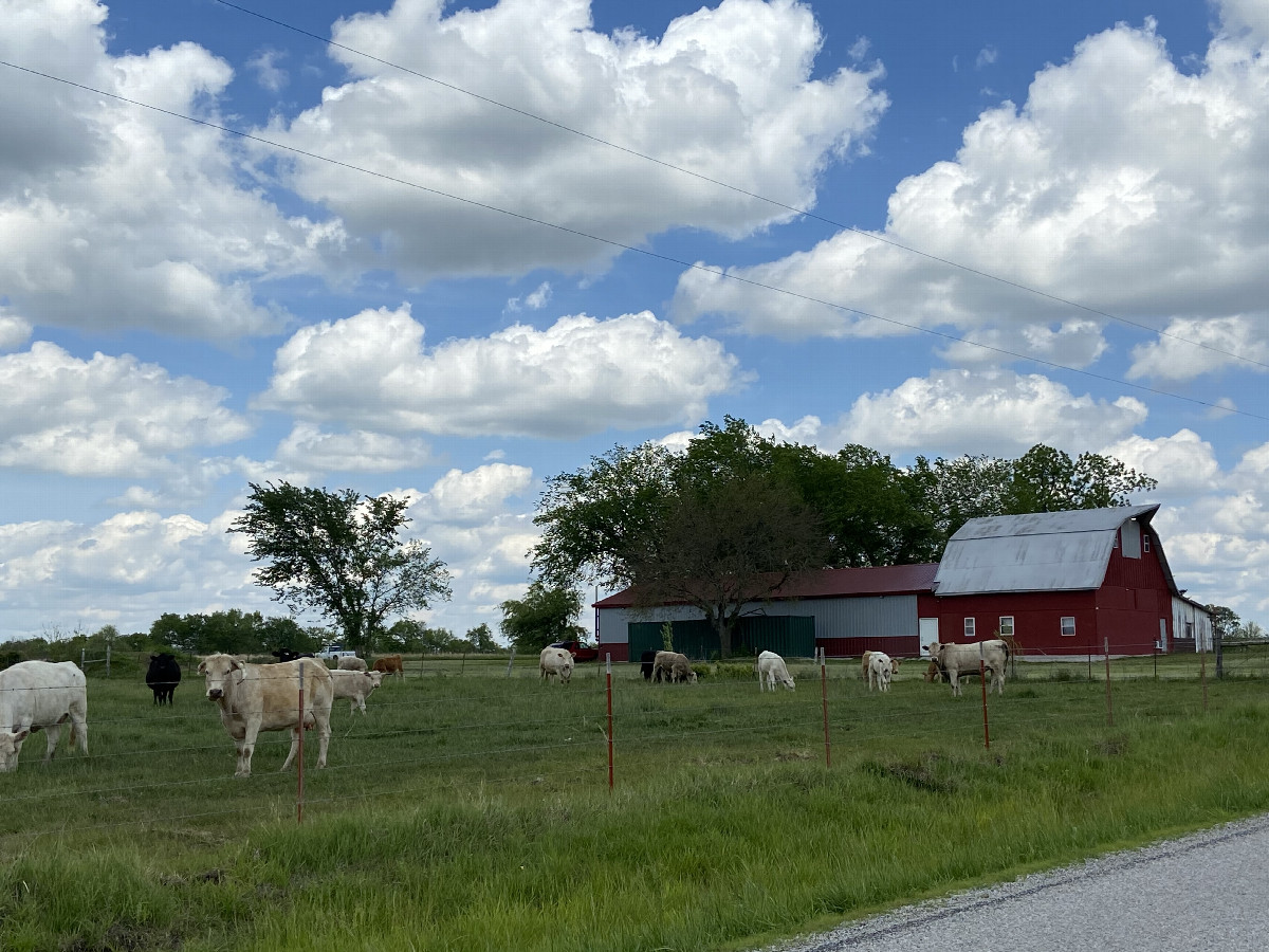 A rural scene near the confluence point. 