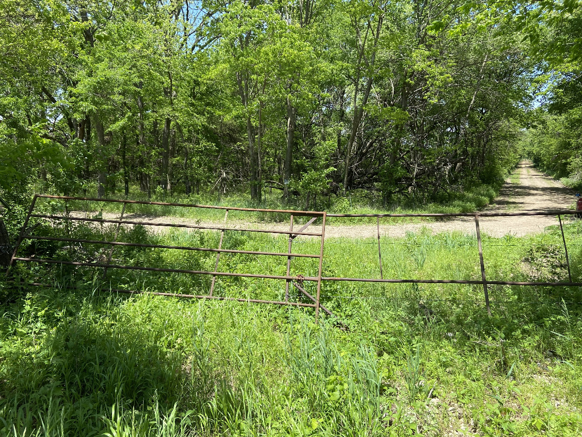 Entrance to the confluence field, with lonely roads to the north and west. 