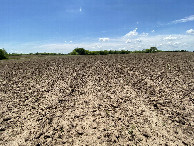 #6: View to the south from the confluence point. 