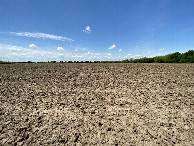 #7: View to the west from the confluence point. 