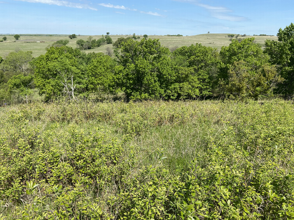 The site of 38 North 96 West, in the foreground, looking northwest.