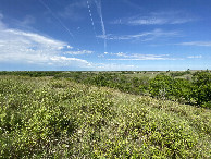 #7: View to the west from the confluence point. 