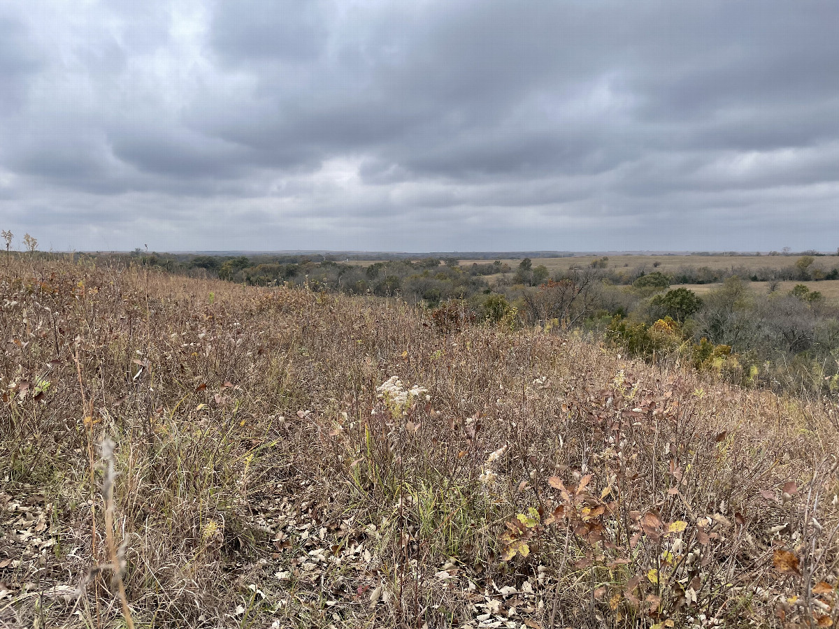 View SW toward the confluence in the foreground