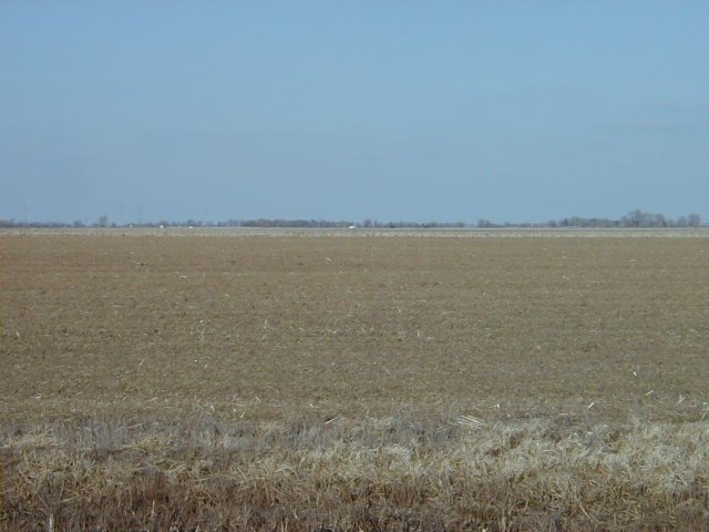 Picture of the confluence - about 60 steps in from the road