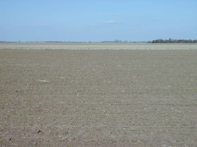 Looking north from the Confluence