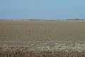 Visit #1: [14-Jan-00]