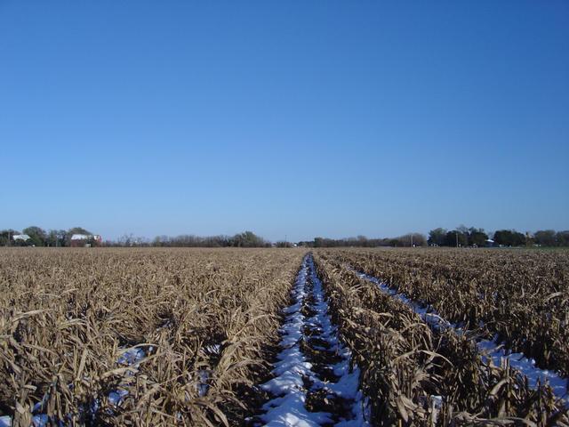 Looking east to a farmhouse on Mohawk Road