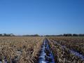 #2: Looking east to a farmhouse on Mohawk Road