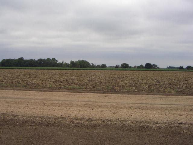 Looking south across Morgan Ave.