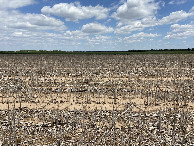 #4: View to the north from the confluence point. 