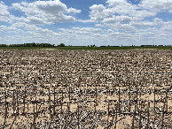 #6: View to the south from the confluence point. 