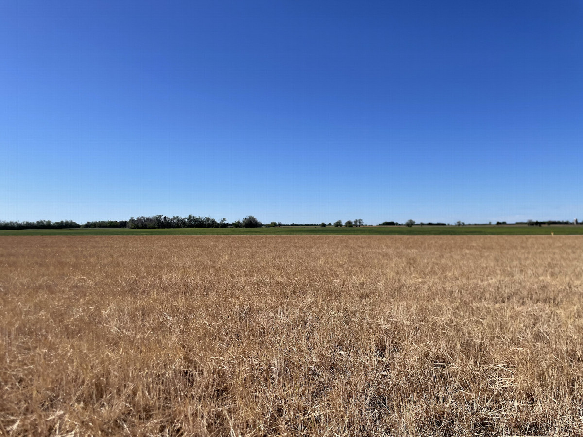 View to the south