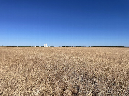 #1: View to the northwest, confluence in the foreground