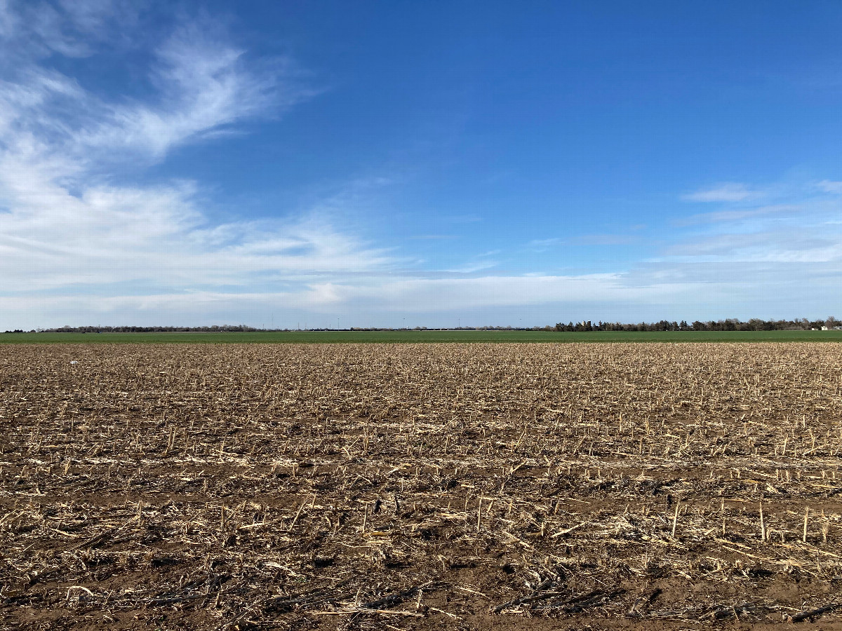 Looking north from the confluence