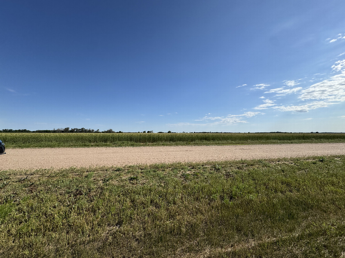 Looking South