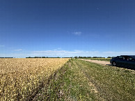 #2: Looking East 