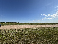 #3: Looking South