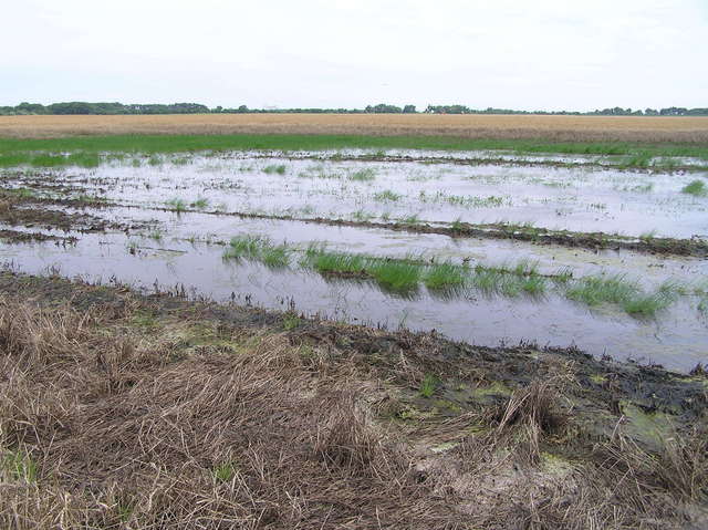 View of the wet confluence of 38 North 99 West, looking southeast.