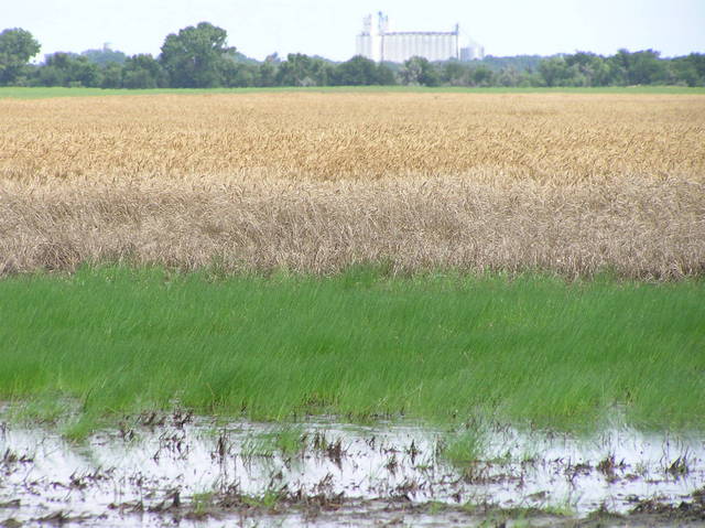View to the southeast, showing the grain elevator of Macksville along US Highway 50, 3 miles distant.