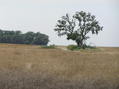 #2: View to the northwest from the confluence.