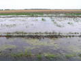 #3: View to the south from the confluence.