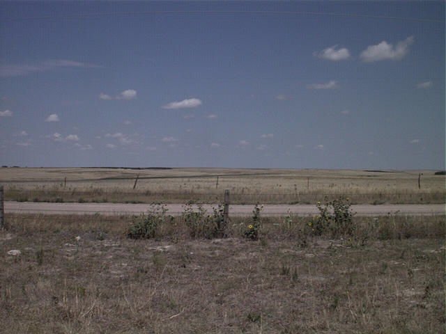 Breathtaking floral view to the north