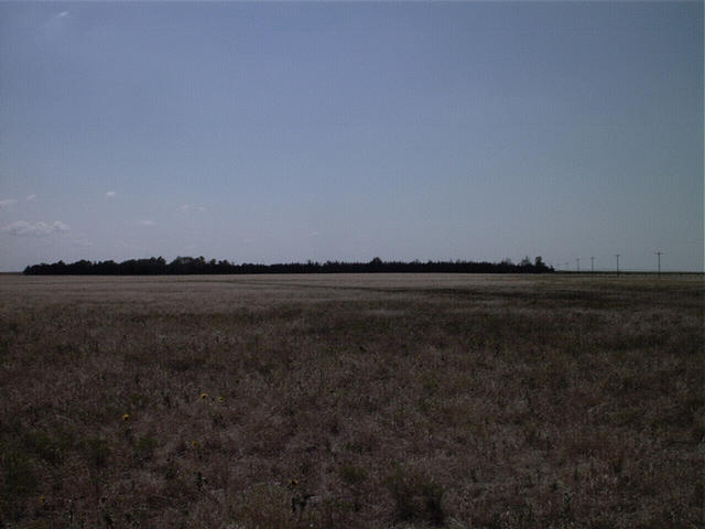 Believe it or not, to the south, there are trees in Kansas