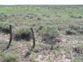 #5: View to the east into Kansas from the confluence.