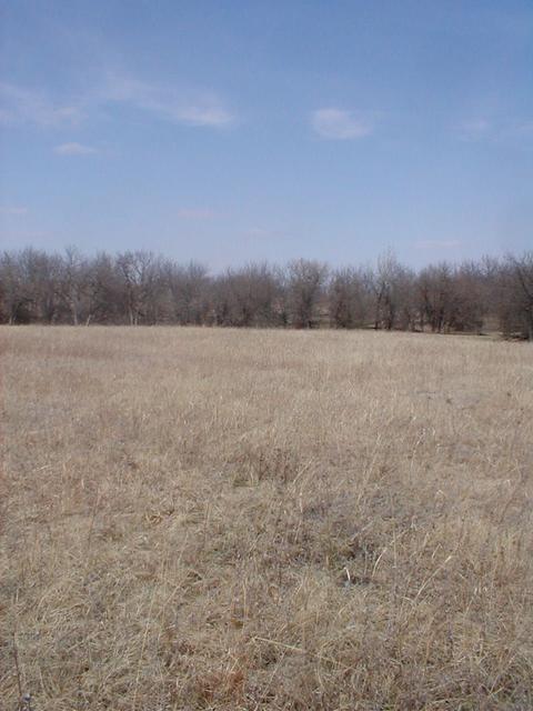 The confluence in the foreground, looking North.