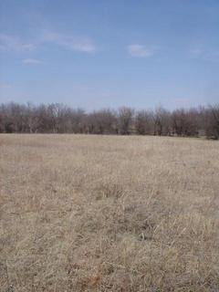 #1: The confluence in the foreground, looking North.