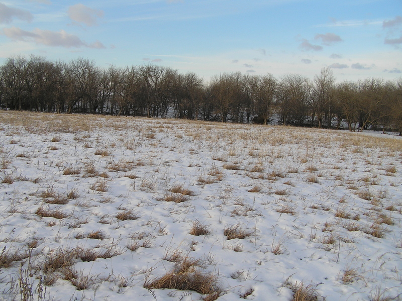 View to the north from the confluence.