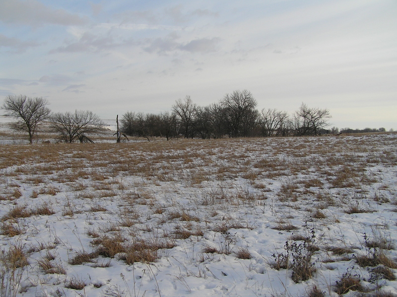 View to the south from the confluence.