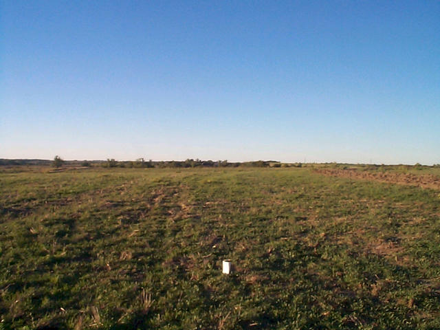 View south