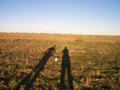 #4: View east