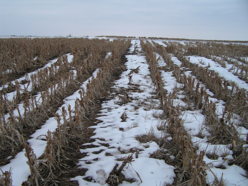 The site of 39 North 97 West, in the foreground with my footprints, looking east.