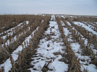 #1: The site of 39 North 97 West, in the foreground with my footprints, looking east.