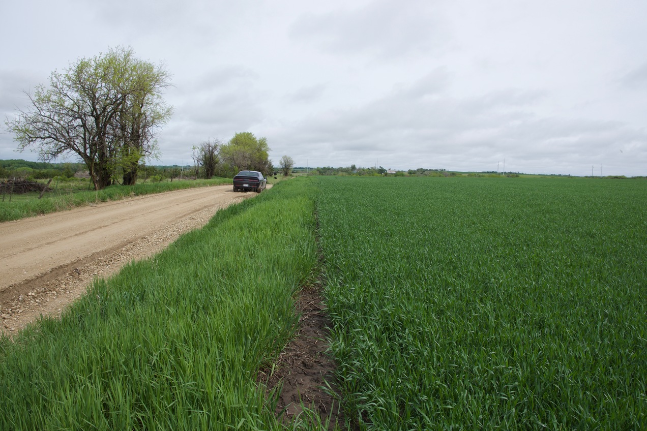 View North along Sage Road, 223 feet West of the point