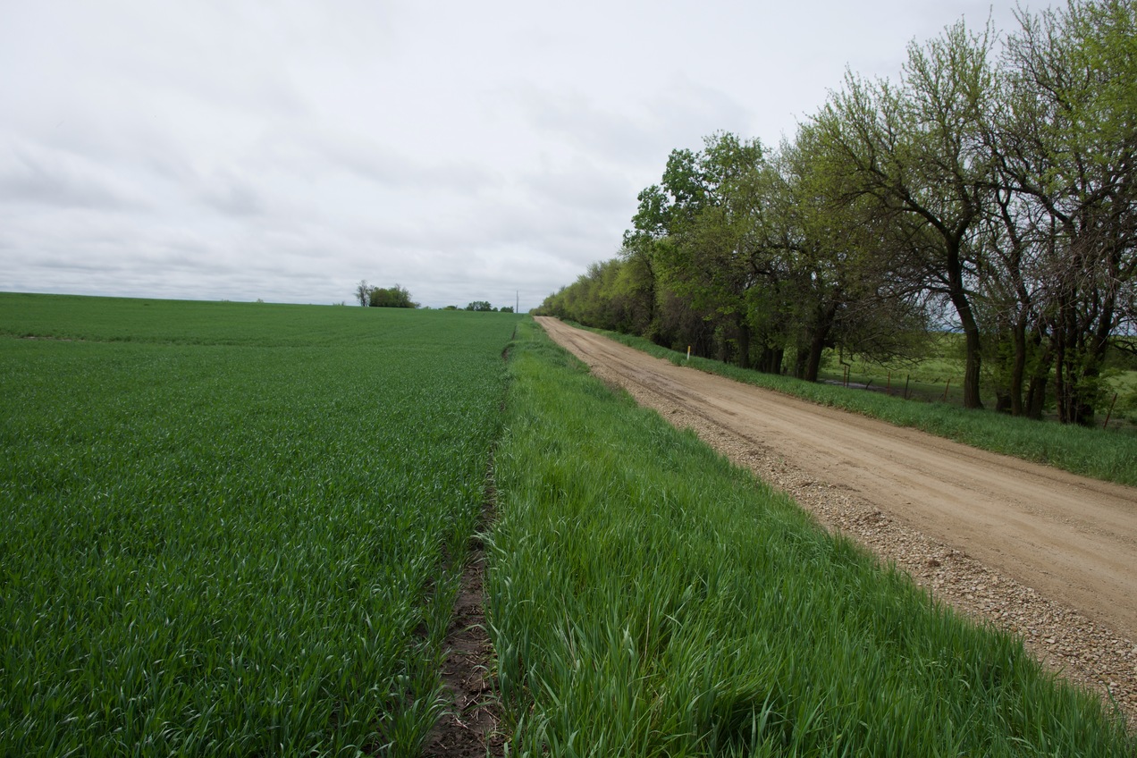 View South along Sage Road, 223 feet West of the point