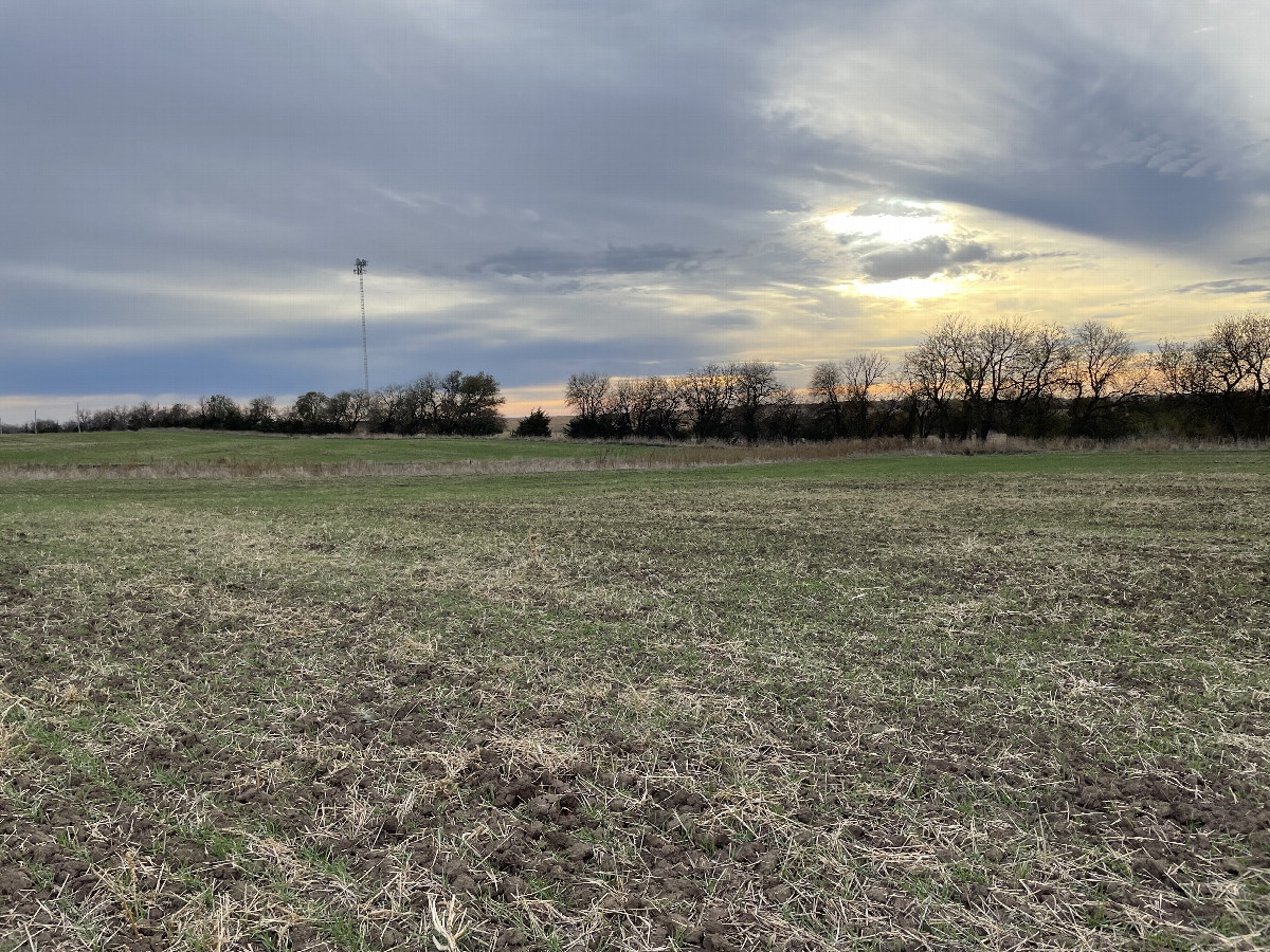 View SW toward the confluence in the foreground