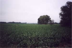 #1: Looking north at the confluence