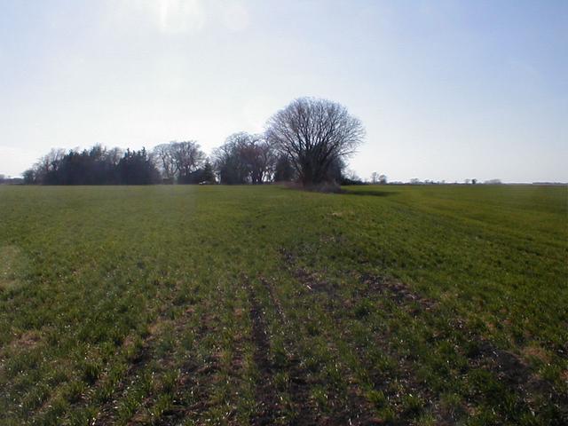 From the confluence point, looking West