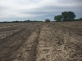 #7: View to the east from the confluence. 