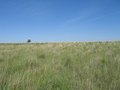 #3: View west.